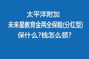 數字化新浪潮下的專業保障 沃保保險網與韻沃網絡服務的壽險革新