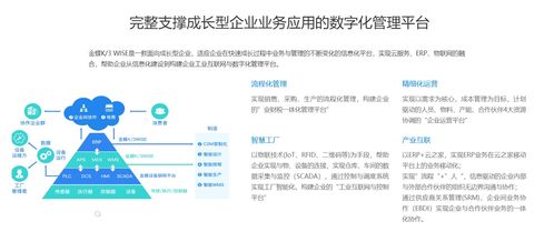 濰坊金蝶 企業(yè)管理與辦公軟件的研發(fā)先鋒