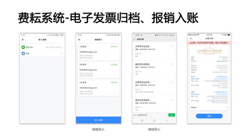 電子發(fā)票與企業(yè)管理軟件 如何選擇適合的系列