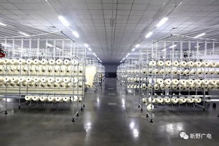 上馬染整項目,打通全產業鏈 新野紡織服裝產業再升級